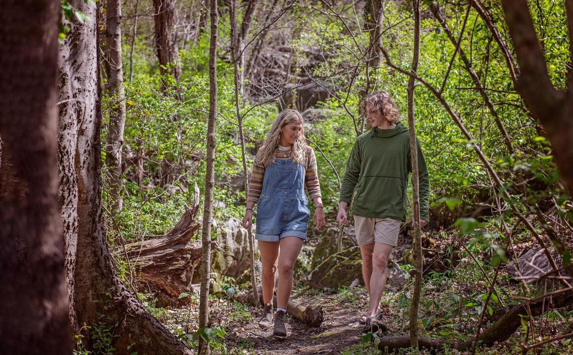 Lena Cabin Wooded Tiny Cabin - Hot Tub Chattanooga Buitenkant foto